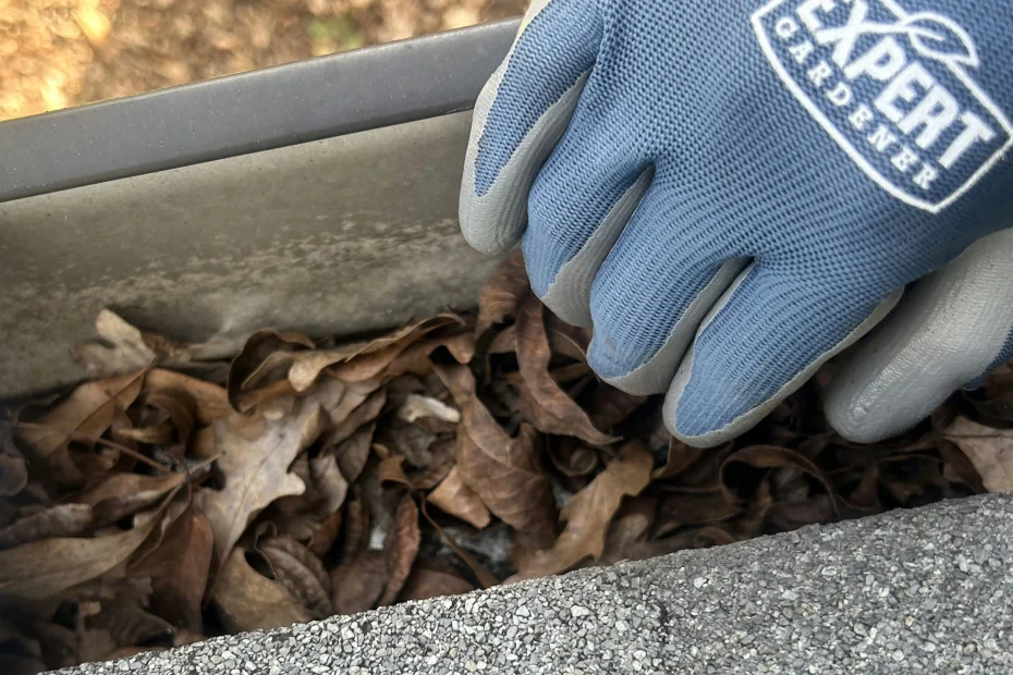 Gutter Cleaning Chesapeake