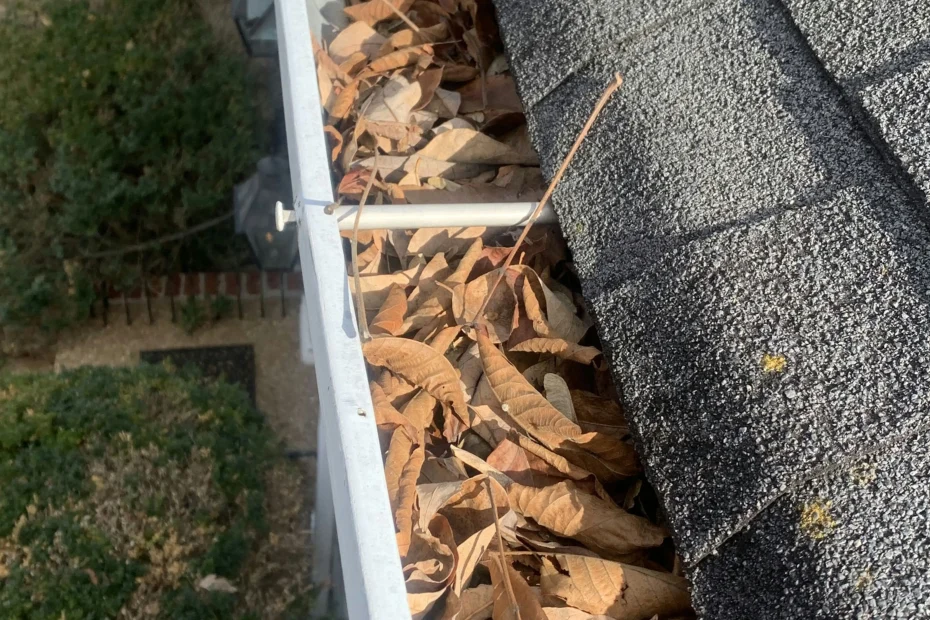 Gutter Cleaning Chesapeake