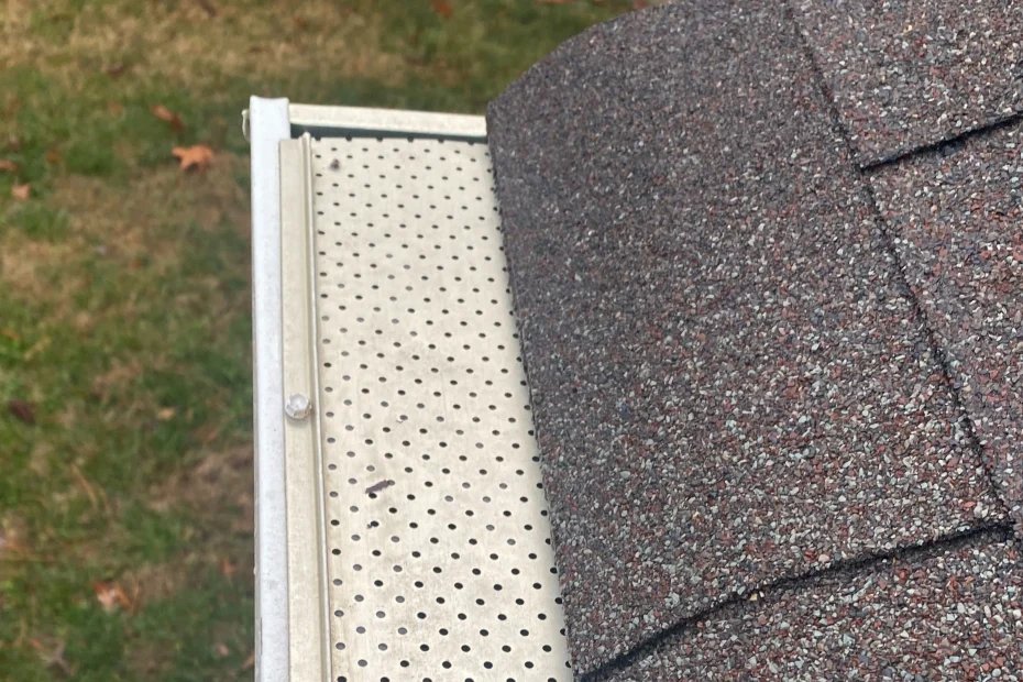 Gutter Cleaning Chesapeake