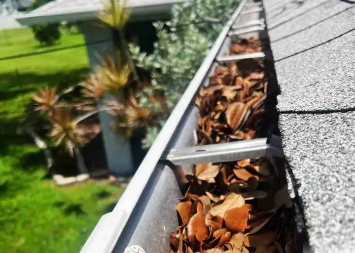 Gutter Cleaning Chesapeake home page